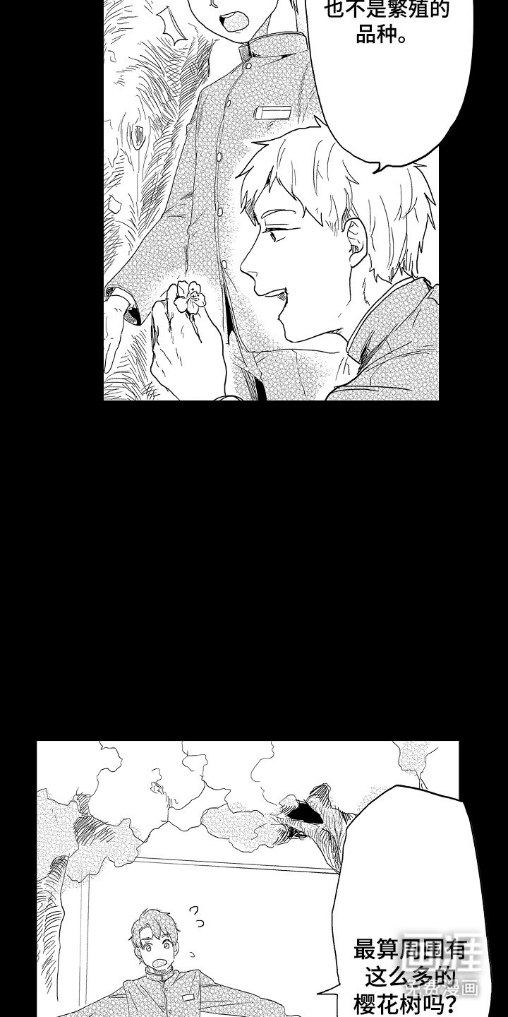 第8话：第8章：毕竟特别预览分镜