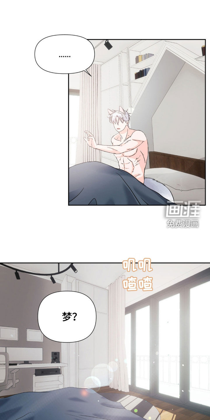 第16话：第16章：别再说喜欢我预览分镜