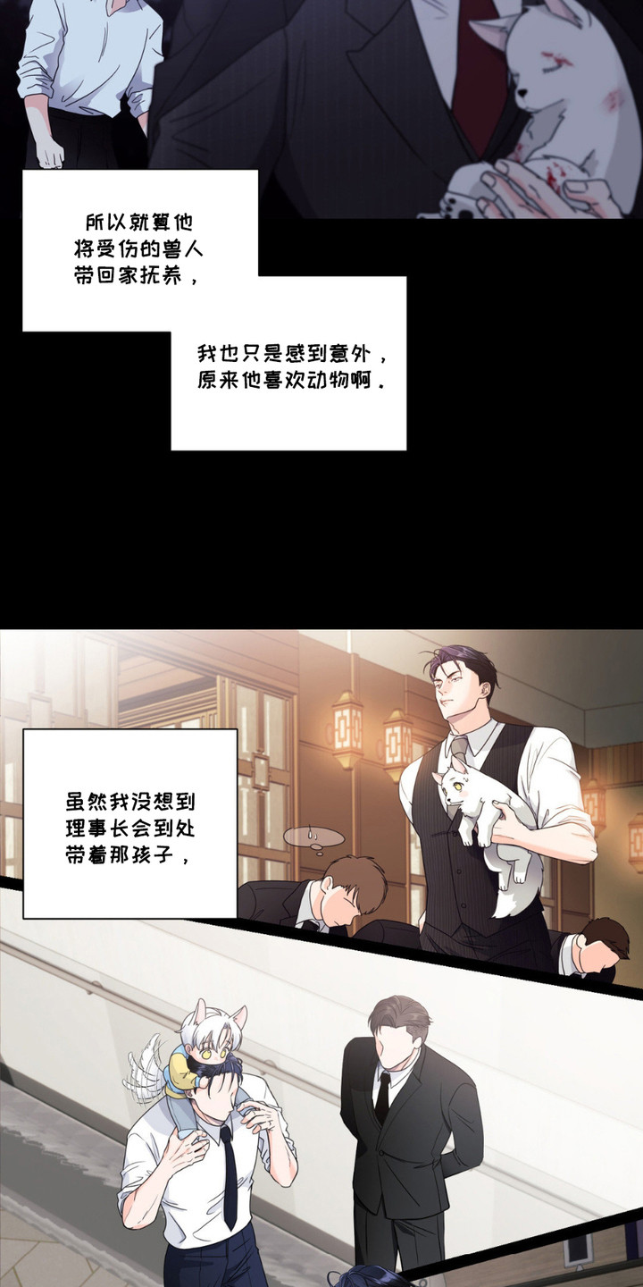 第1话：第1章：小狼崽预览分镜