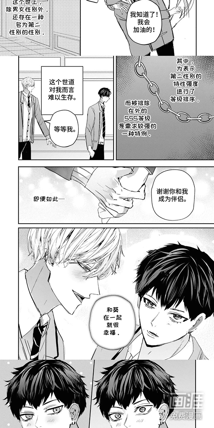 第15话：第15章：幸福预览分镜