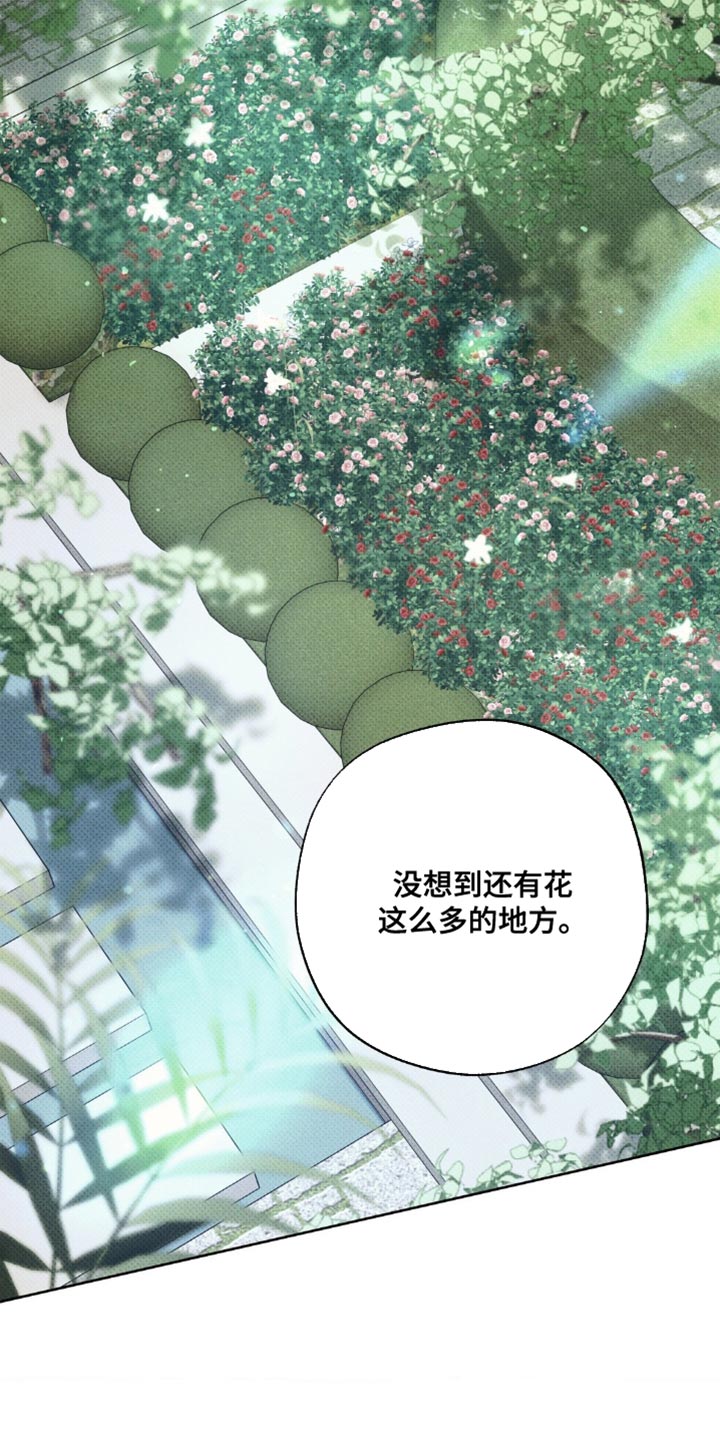 第28章:并不在意