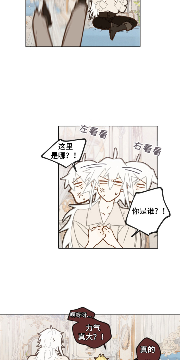 第9话：第9章：理想型预览分镜