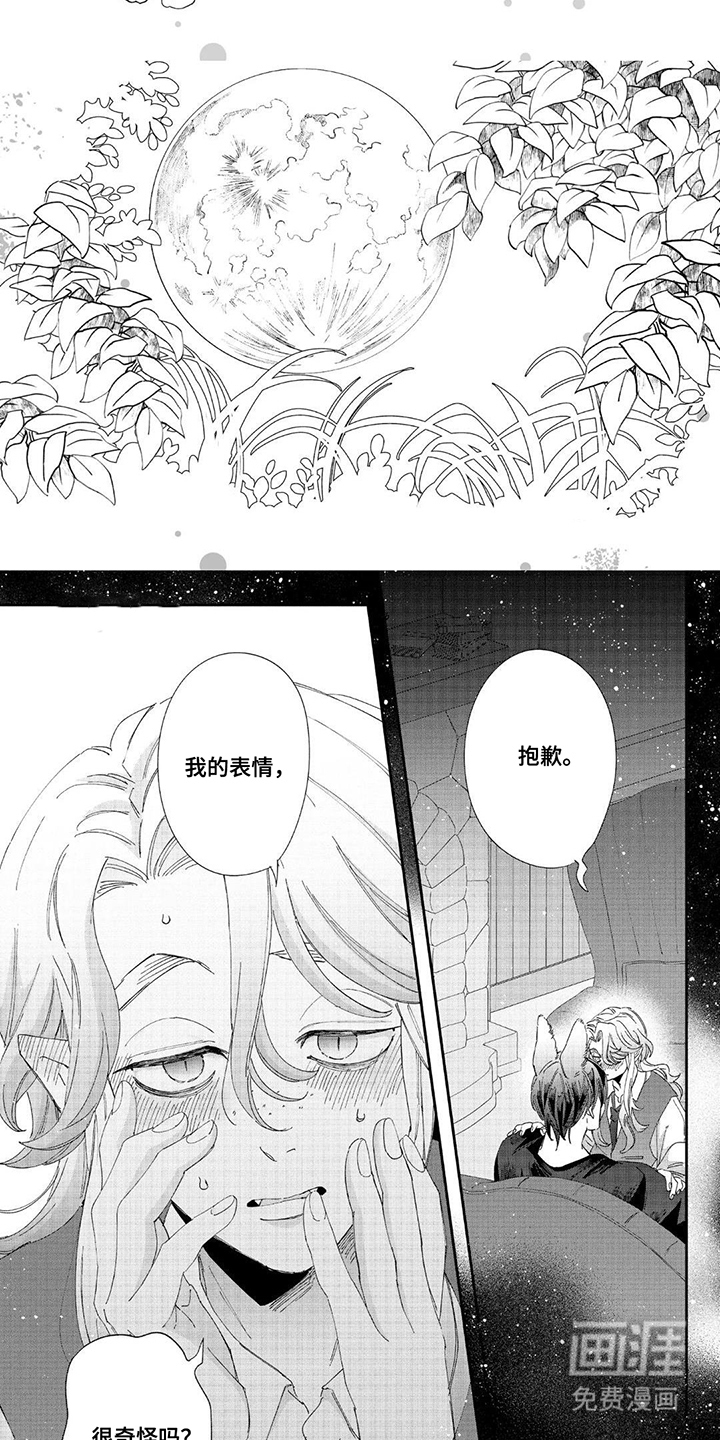 第17话：第17章：混乱预览分镜