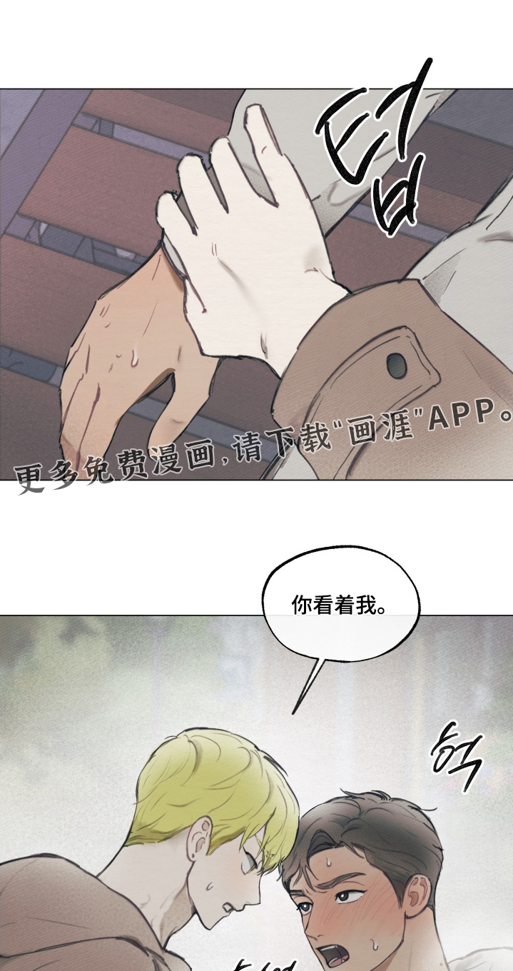 第16章:我们先走