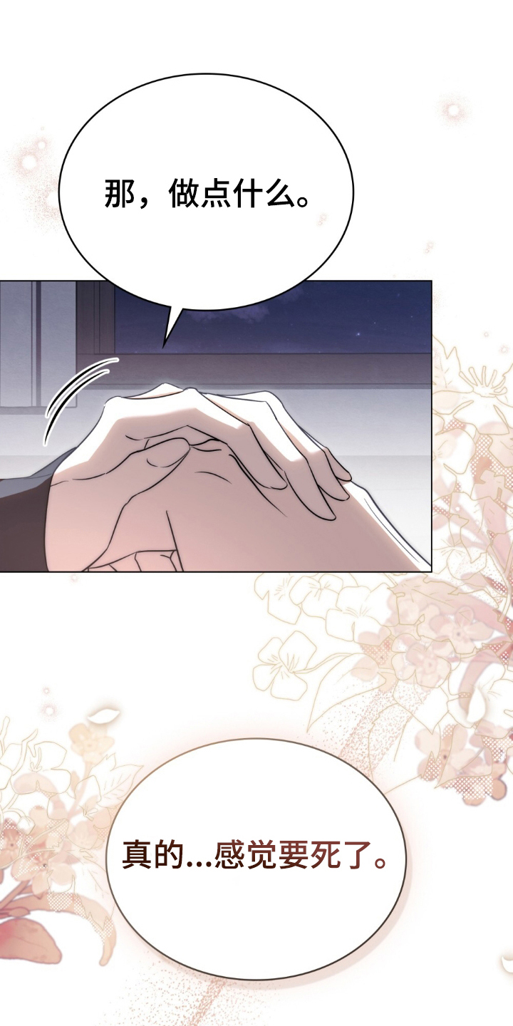 第16章:悲剧