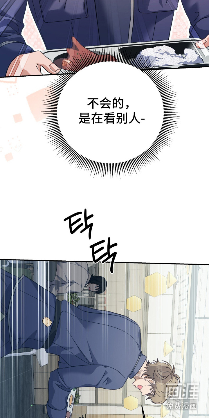 第12话：第12章：可怜兮兮预览分镜