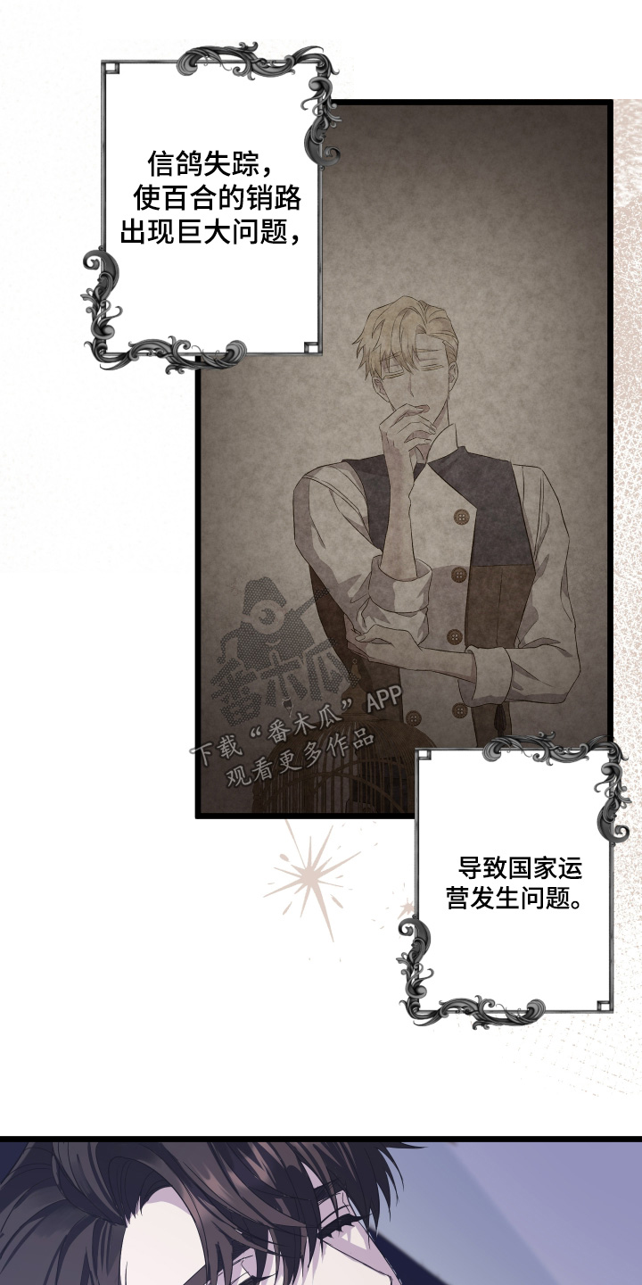 第14章:我去准备