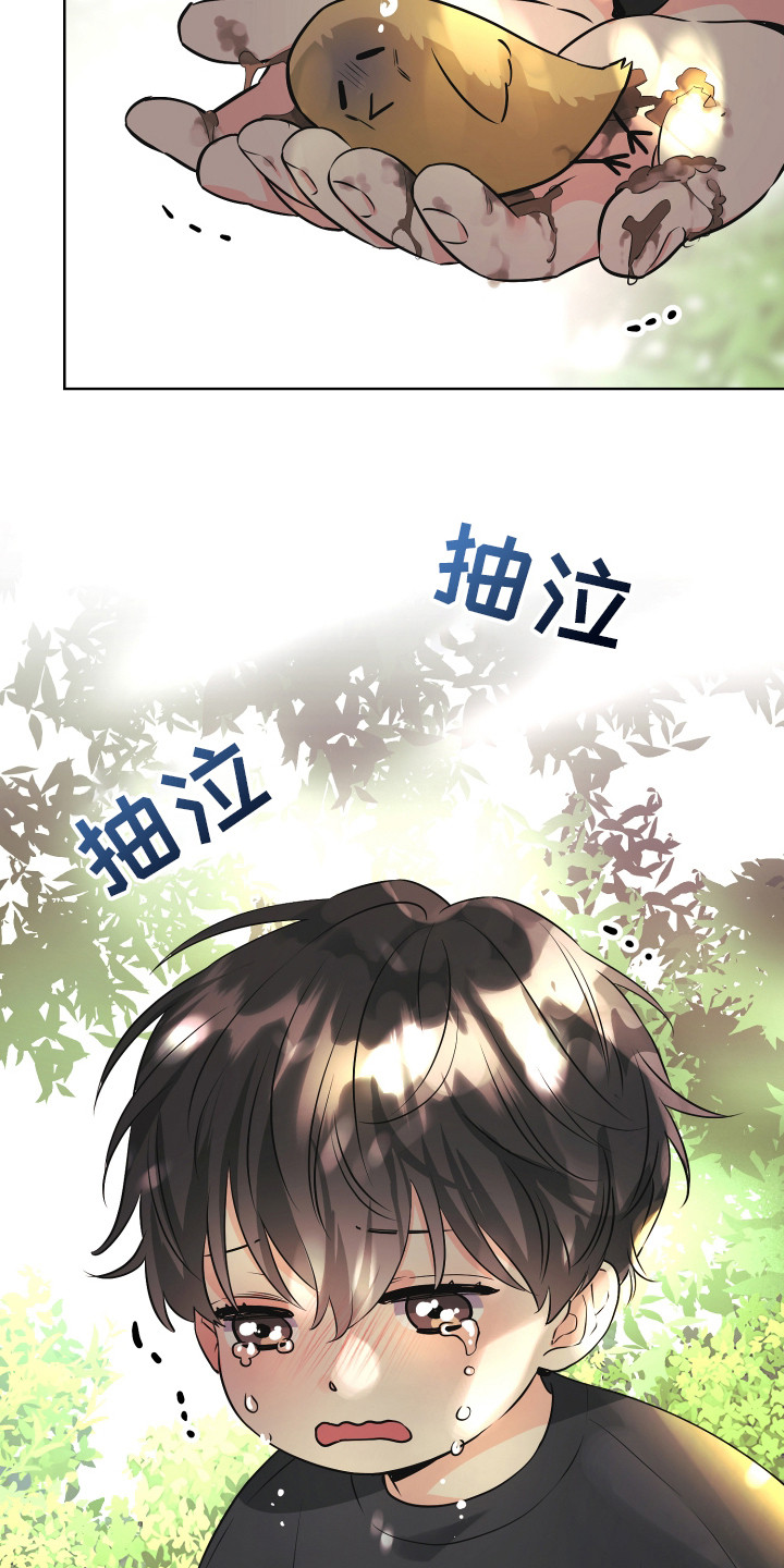第1话：第1章：小盆栽预览分镜