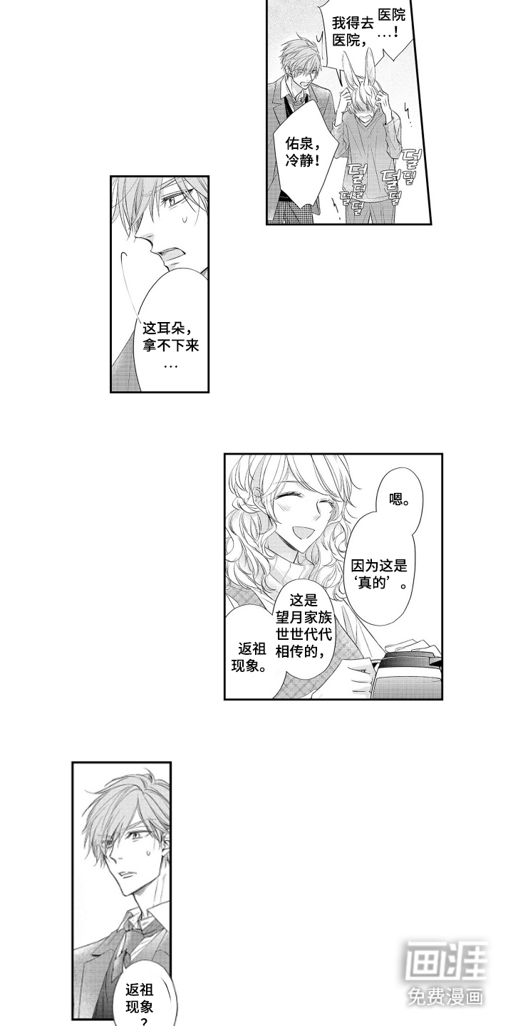 第3话：第3章：新娘预览分镜