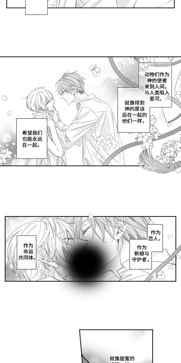 第11话：第11章：其他方法预览分镜