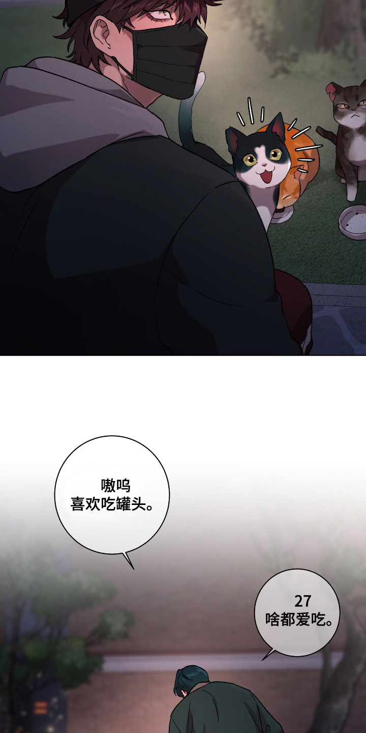 第1话：第1章：流浪猫预览分镜