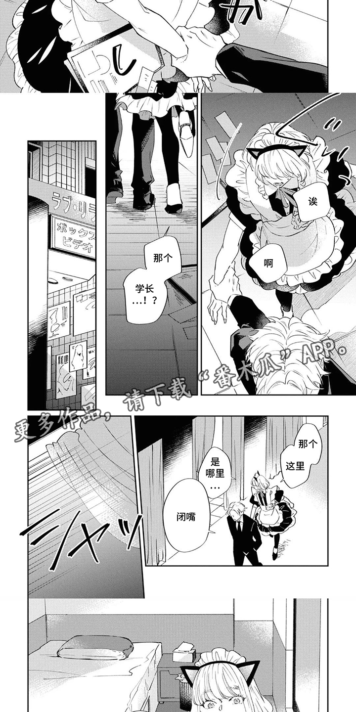 第3话：第3章：照片预览分镜