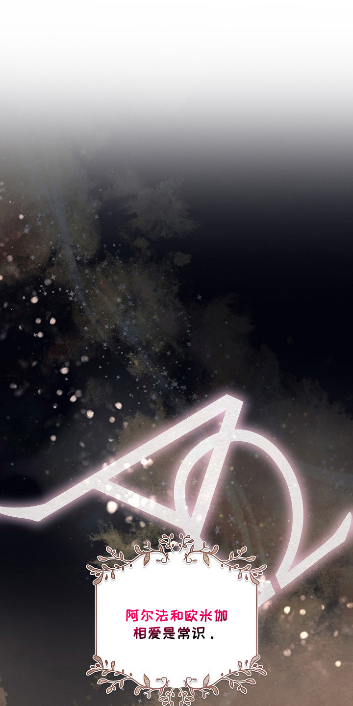 第1话：第1章：互相吸引预览分镜