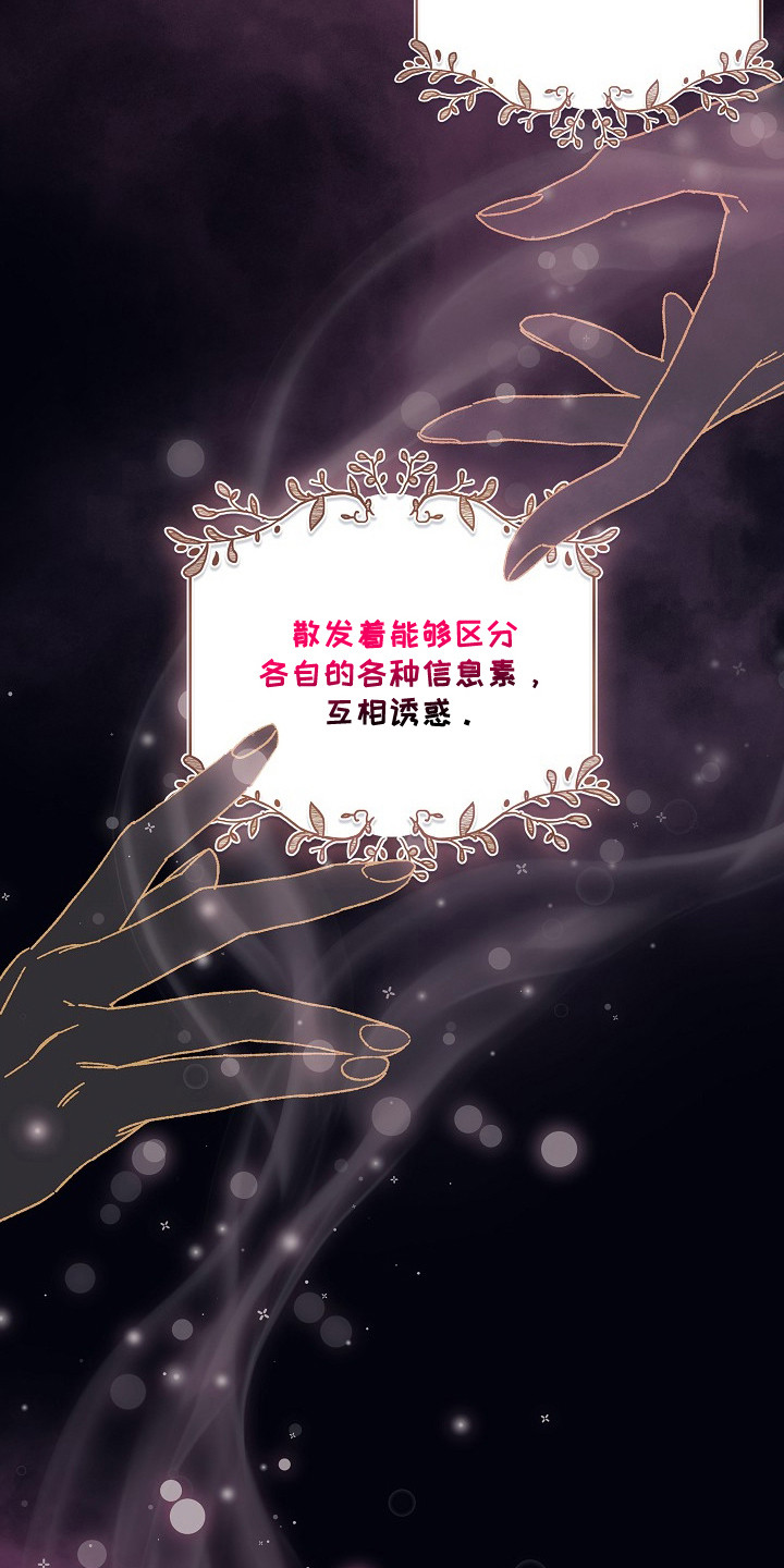 第1话：第1章：互相吸引预览分镜