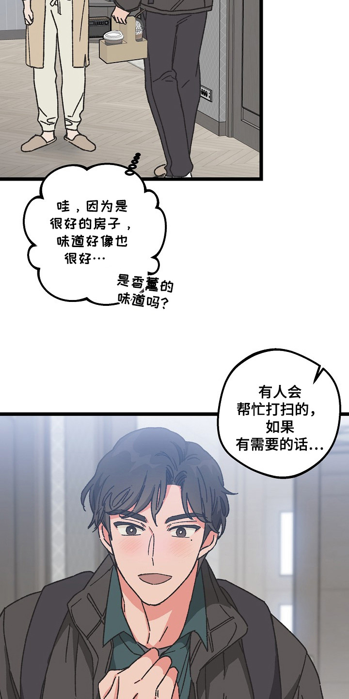 第4话：第4章：房东预览分镜