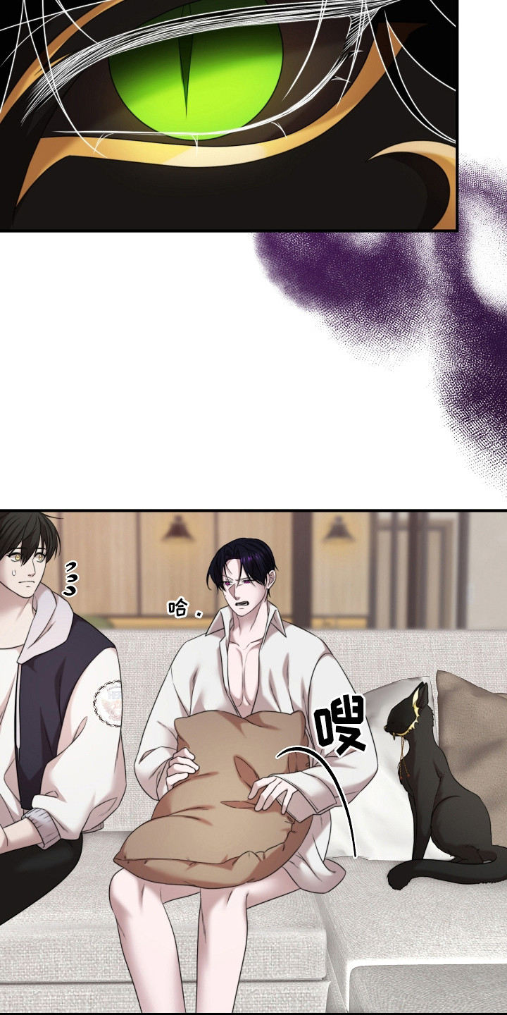 第5话：第5章：监视预览分镜