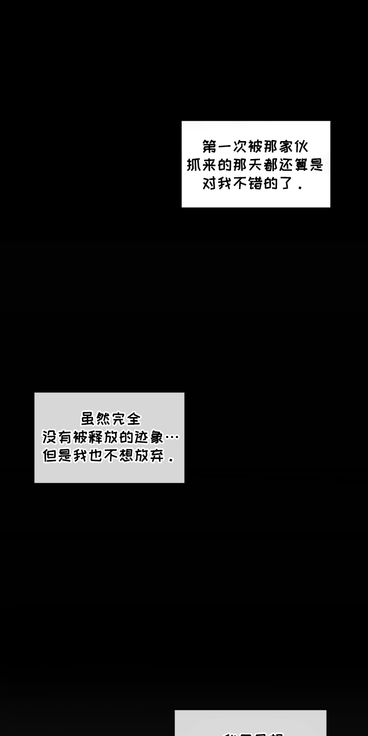 第5话：第5章：我错了预览分镜
