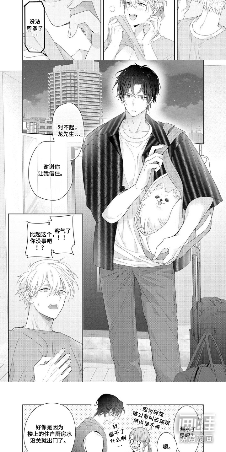 第14话：第14章：借住预览分镜