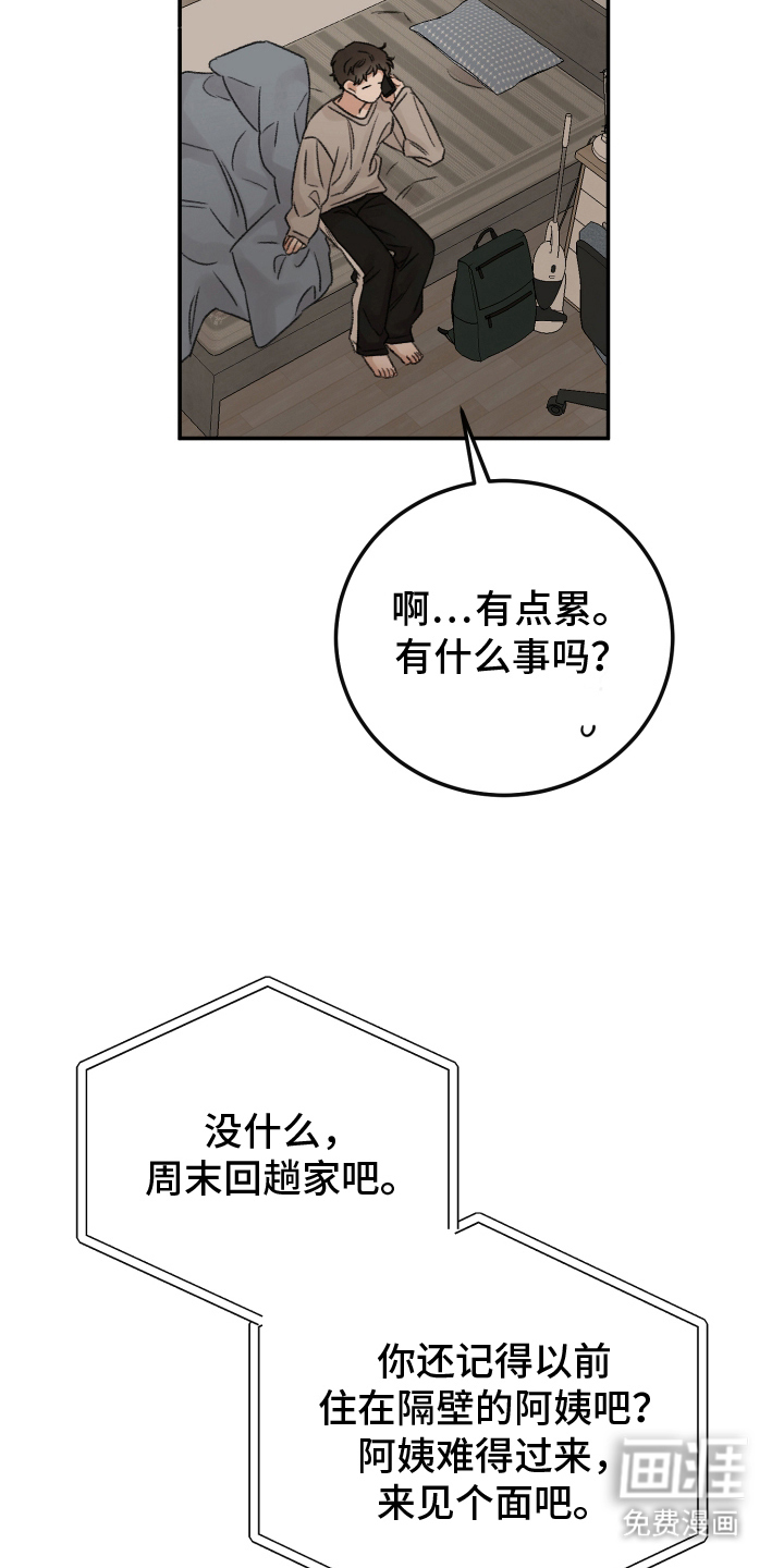 第3话：第3章：好久不见预览分镜