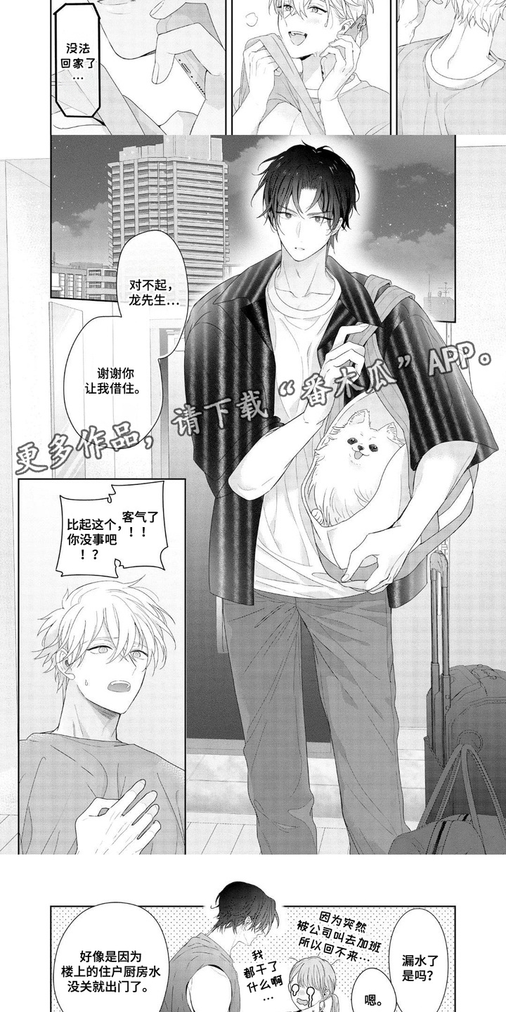 第14话：第14章：借住预览分镜