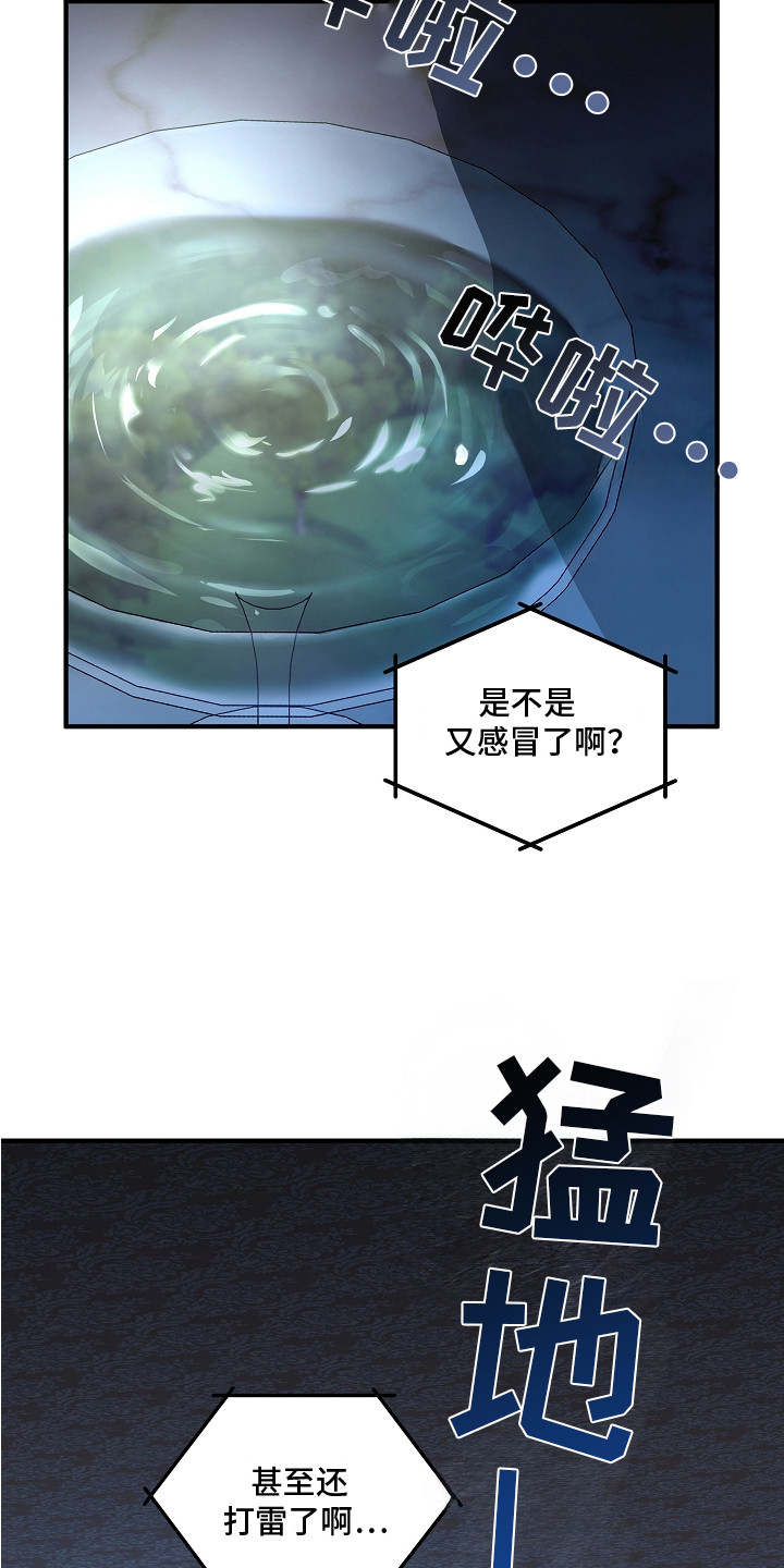第12话：第12章： 暗中观察预览分镜