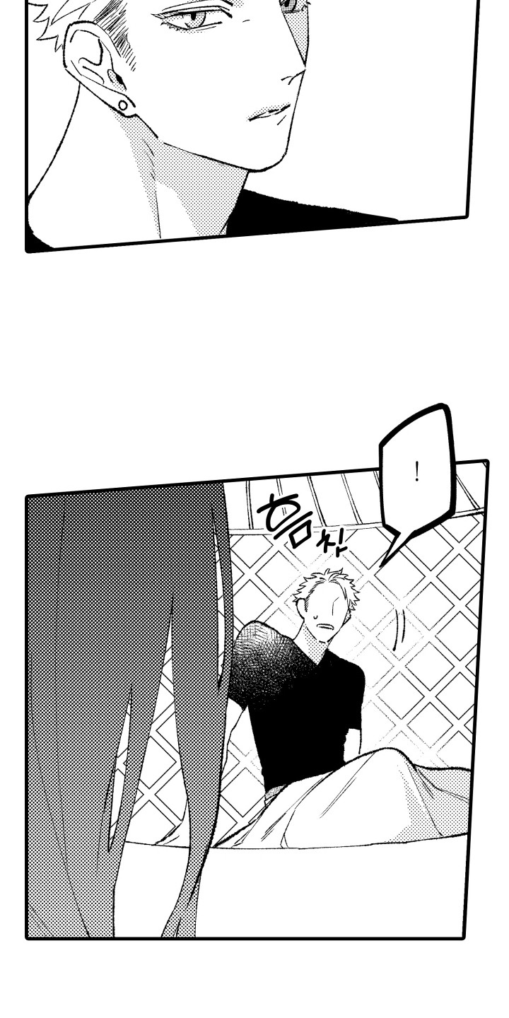 第5话：第5章：照片预览分镜