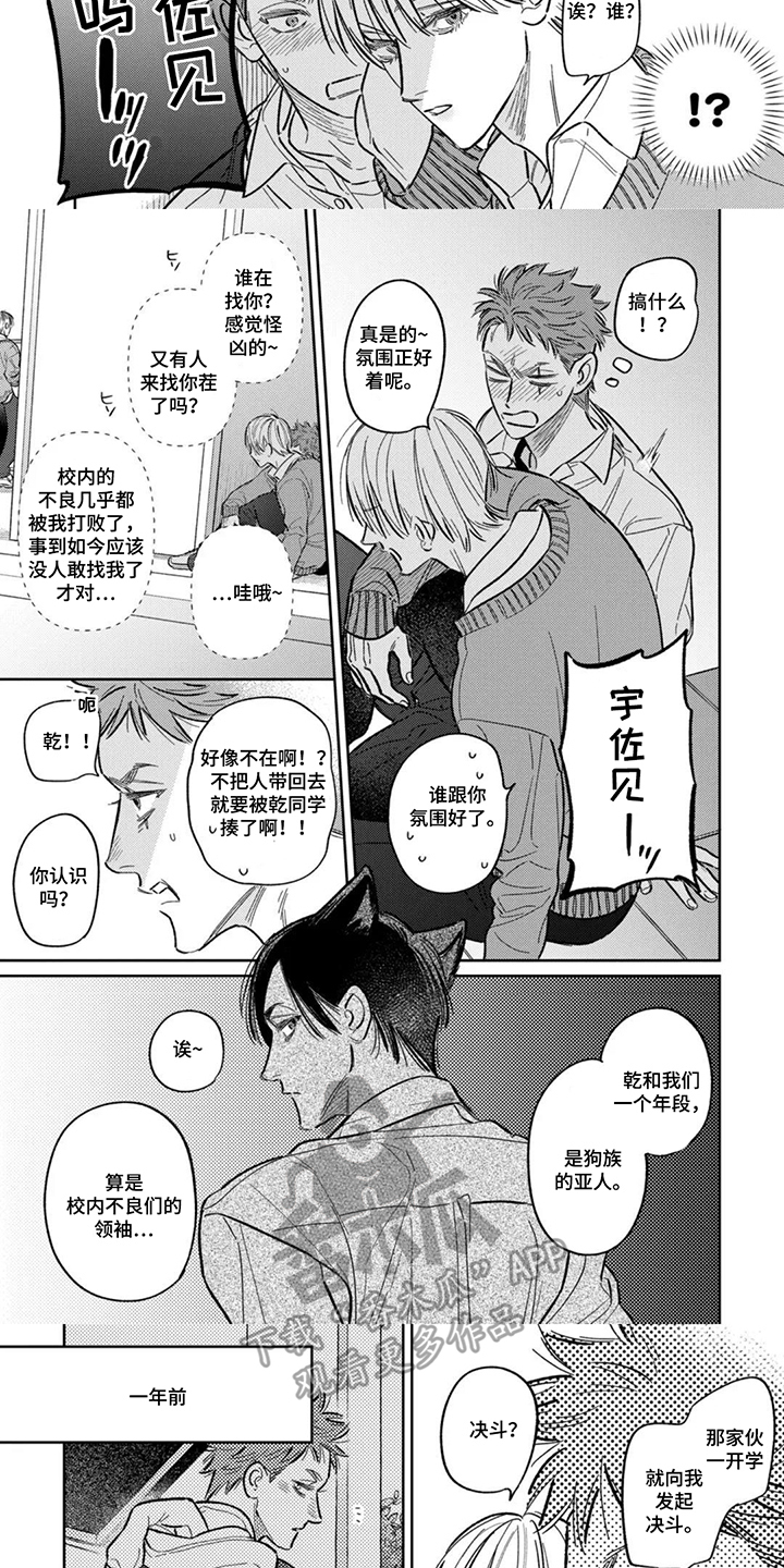第9话：第9章：晕乎乎预览分镜