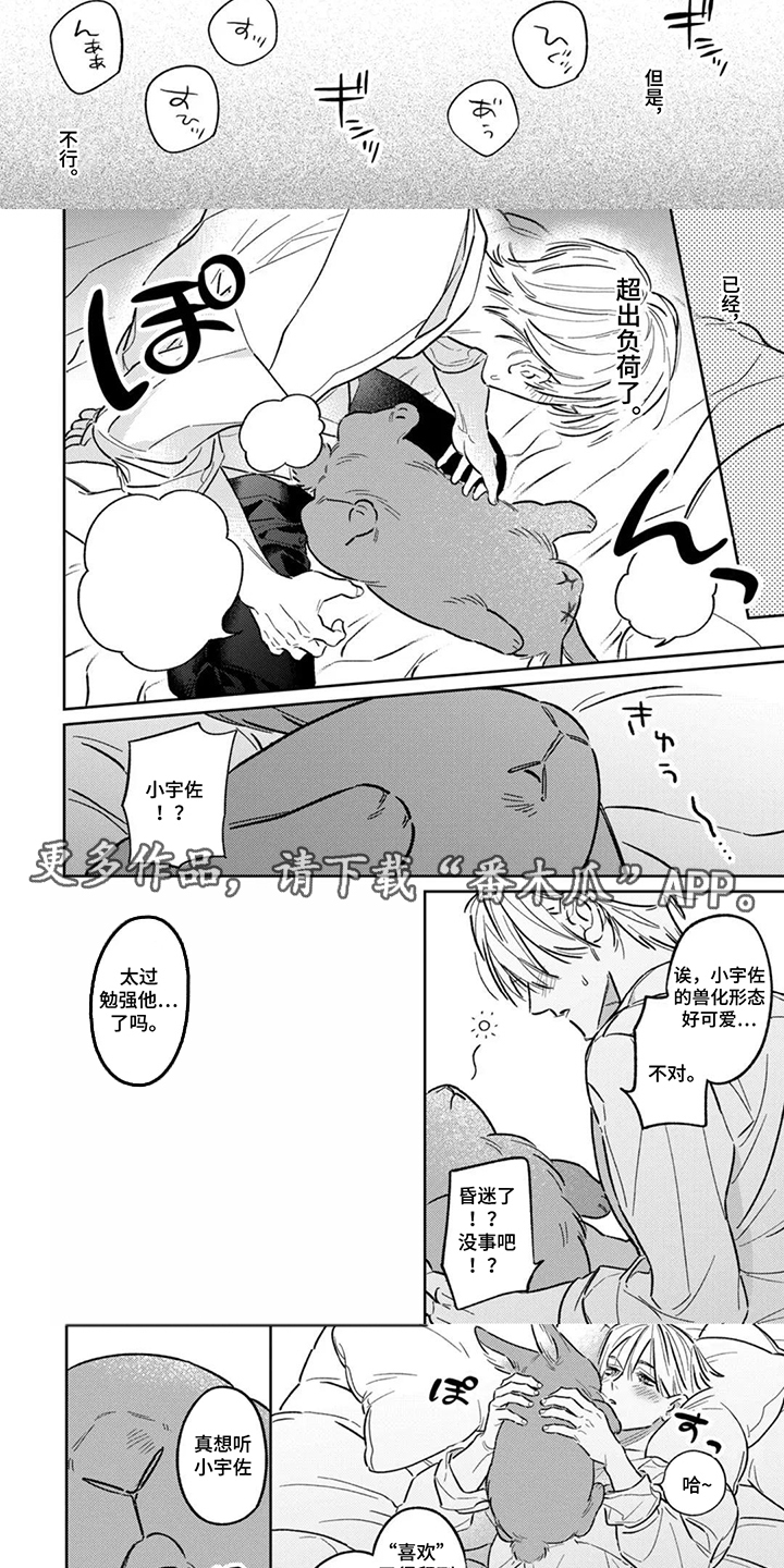 第17话：第17章：稳定预览分镜