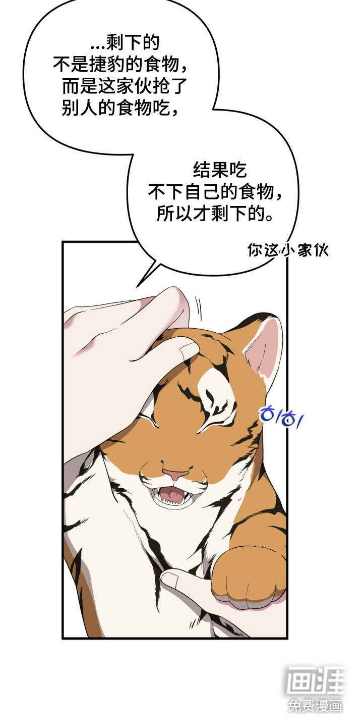 第10话：第10章：有爱心预览分镜