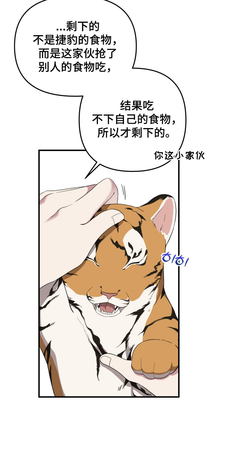 第10话：第10章：有爱心预览分镜