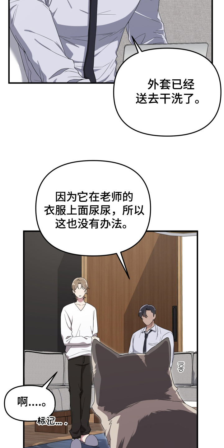 第14话：第14章：很可爱预览分镜