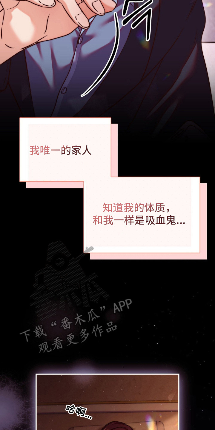 第10话：第10章：唯一的家人预览分镜
