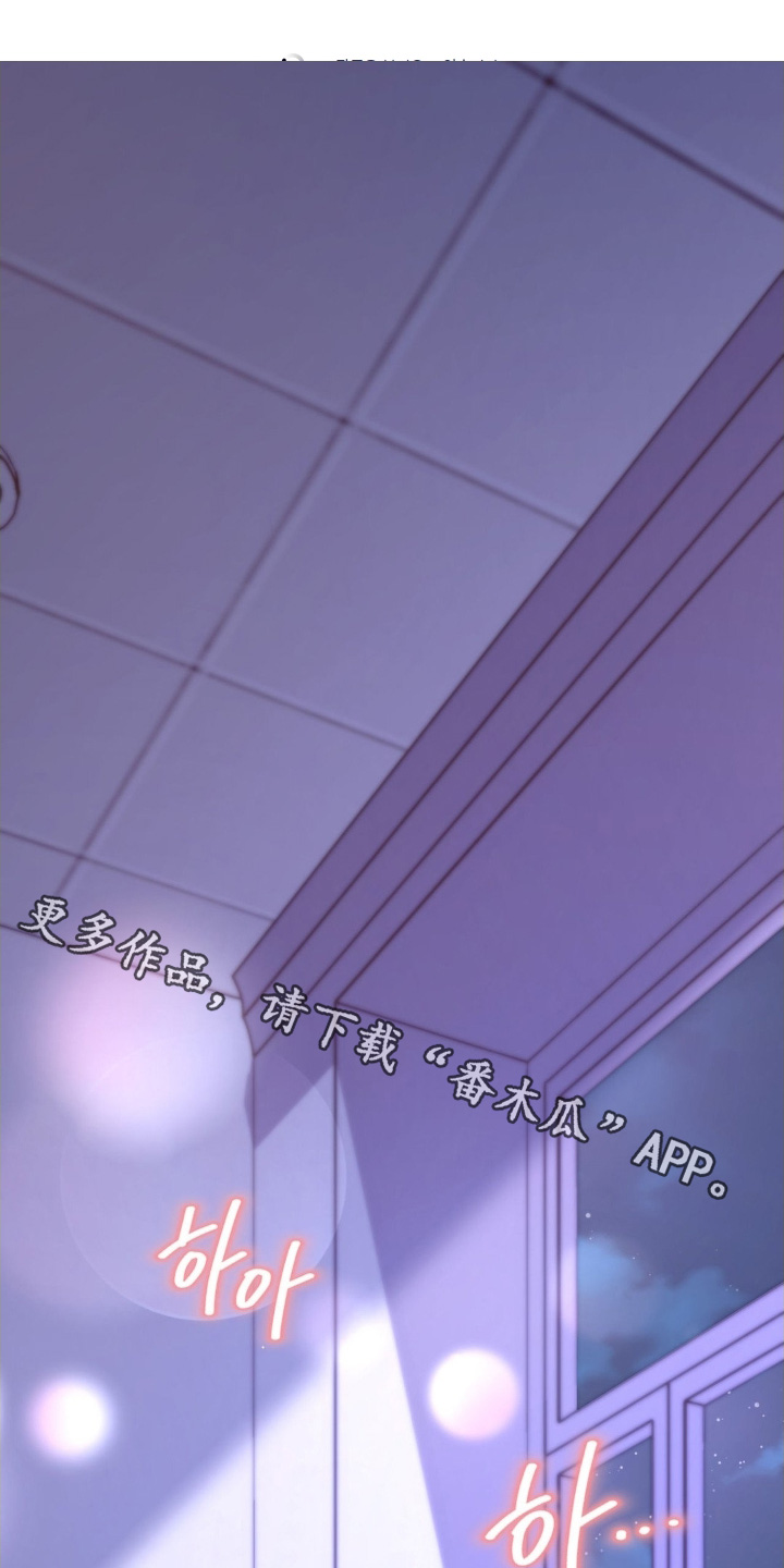 第24章:下次吧