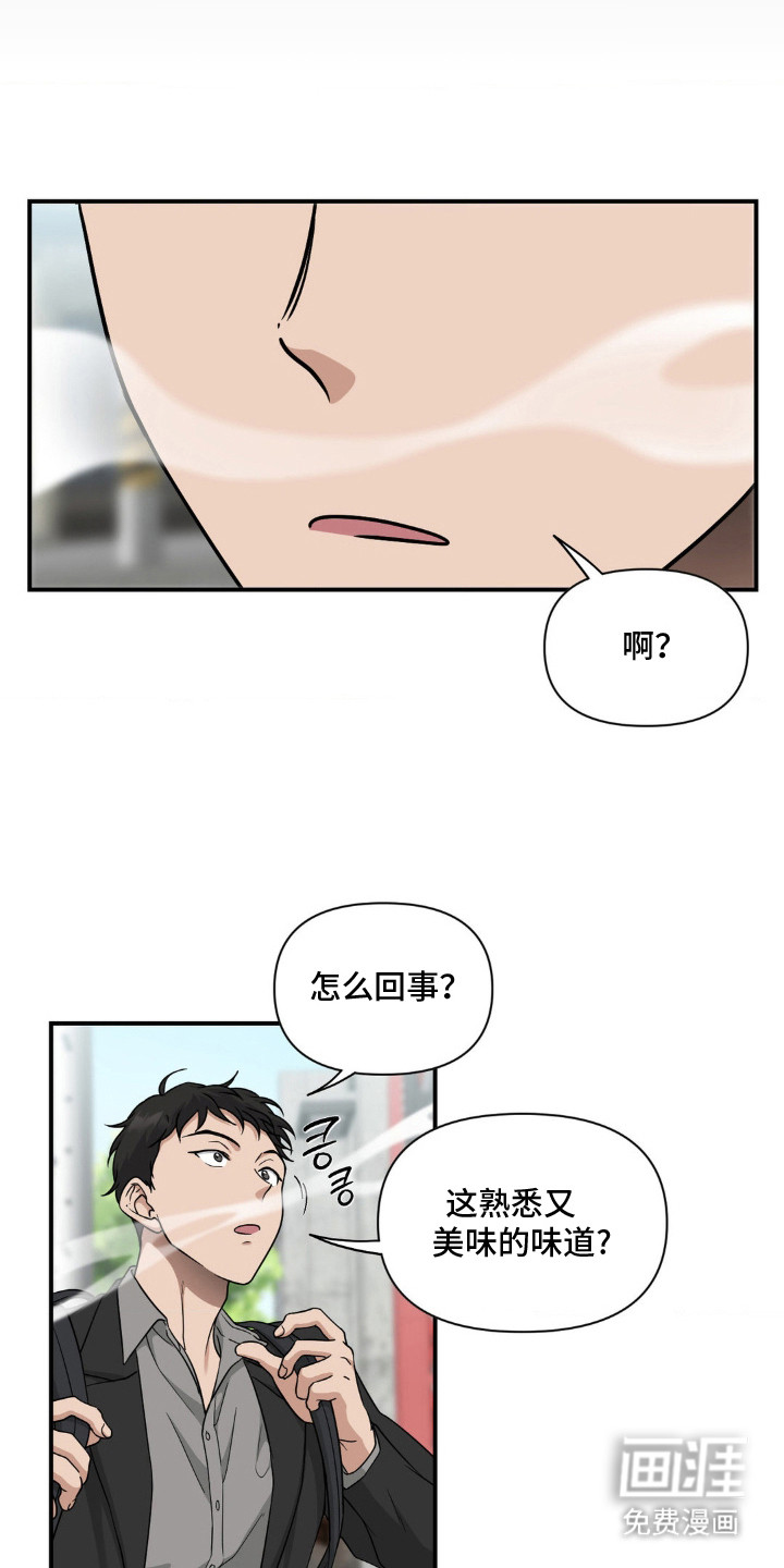 第11话：第11章：味道回来了预览分镜
