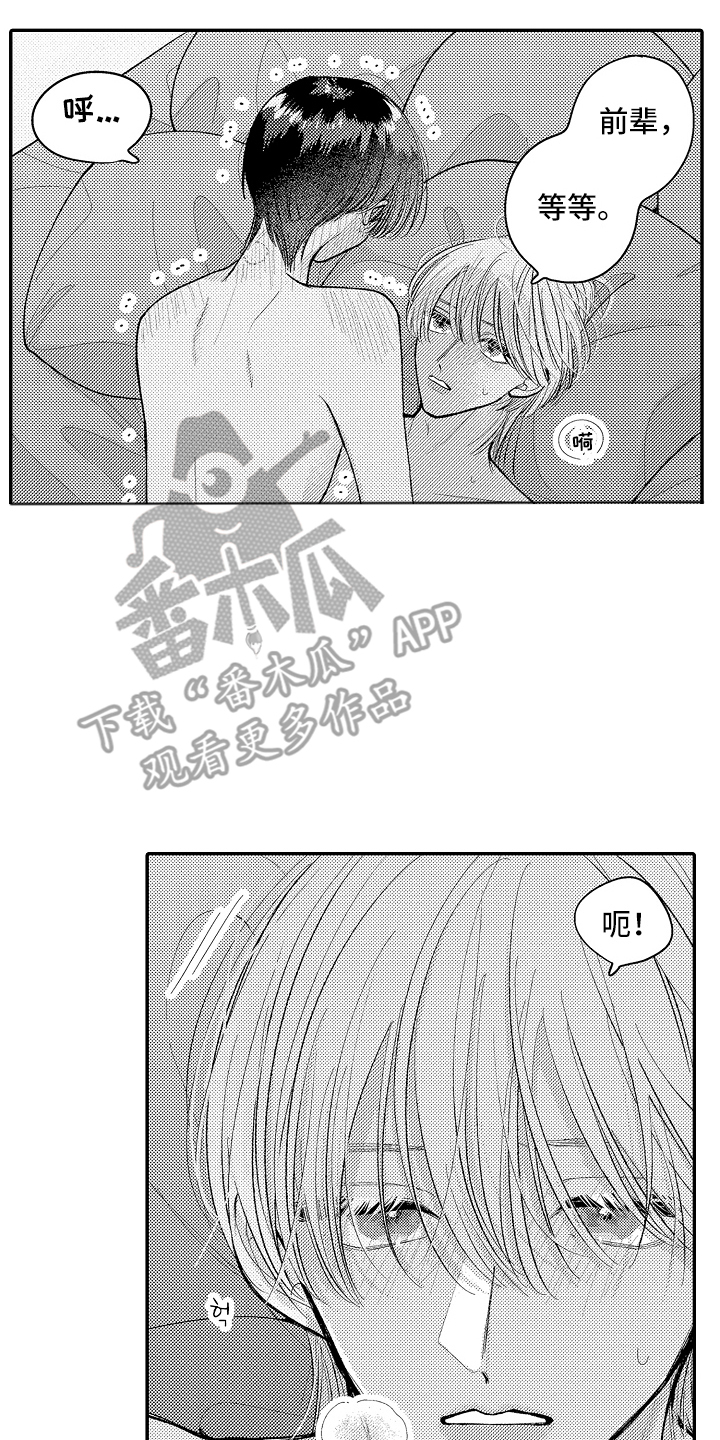 第21章:好幸福(完结)