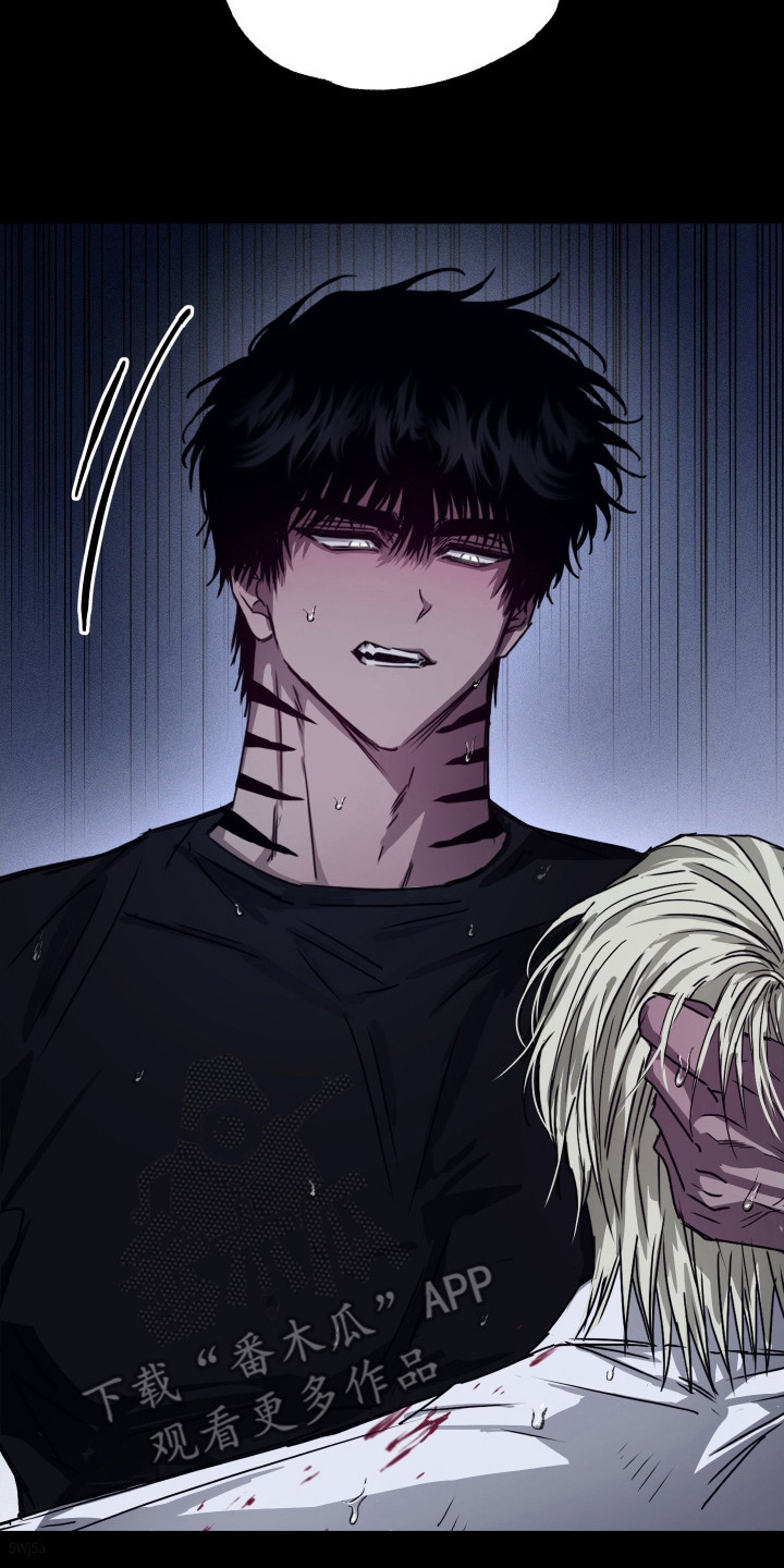 第11话：第11章： 矢口否认预览分镜