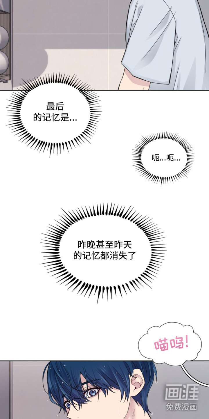 第5话：第5章：全忘了预览分镜