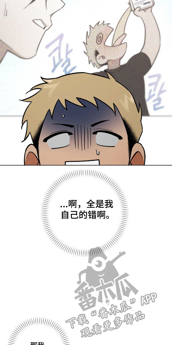 第22章:再次回来