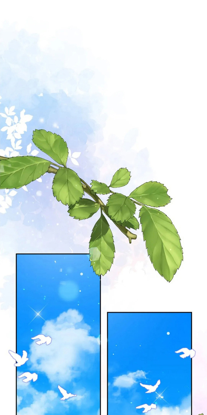 第15话：第15章：来晚了预览分镜