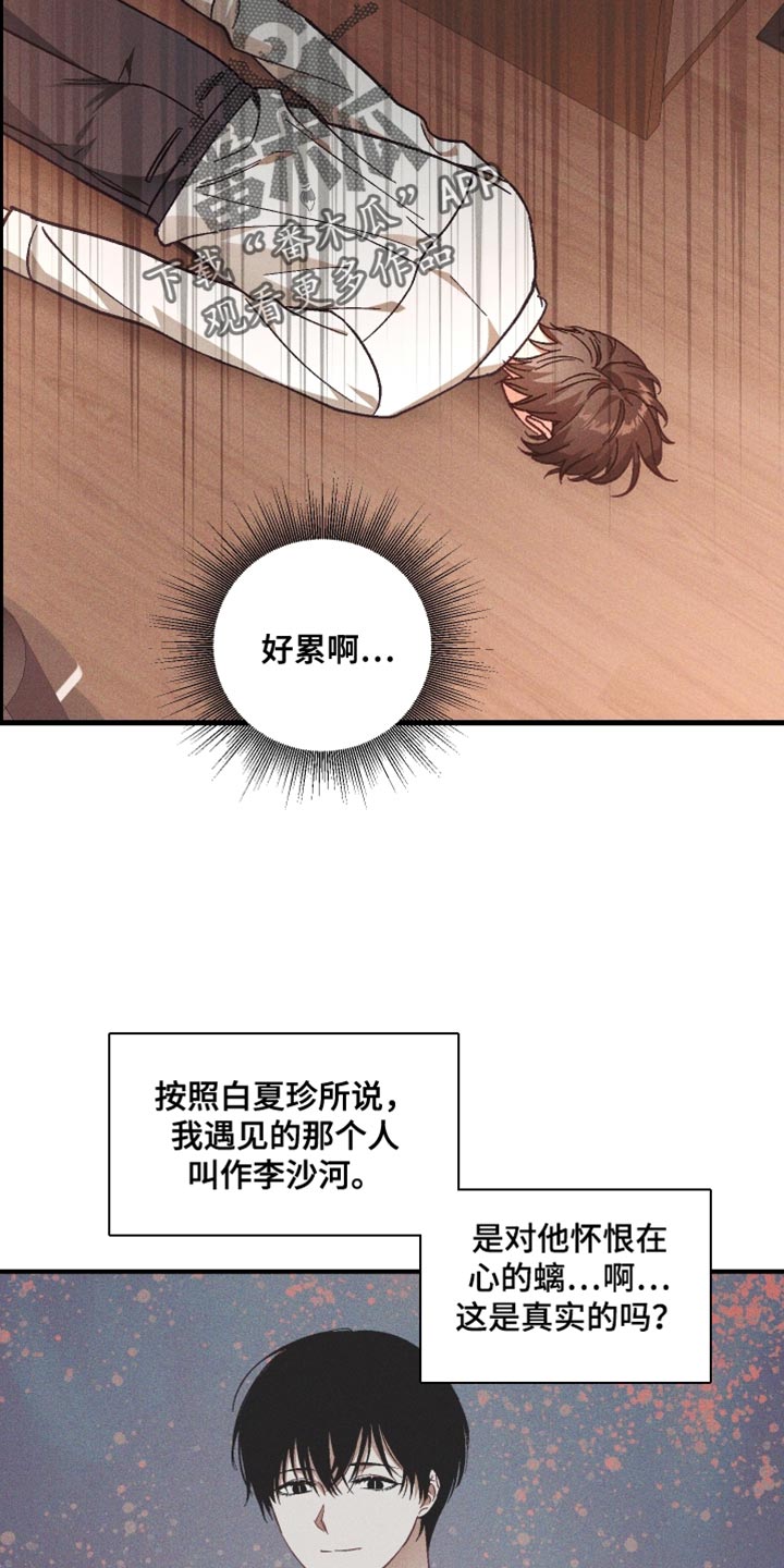 第20章:真奇怪