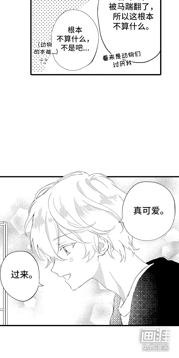 第11话：第11章：一定要去预览分镜