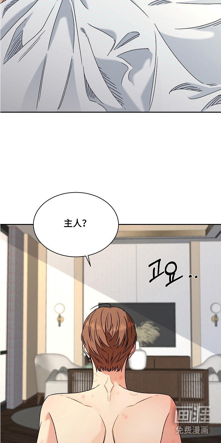 第11话：第11章：支票预览分镜