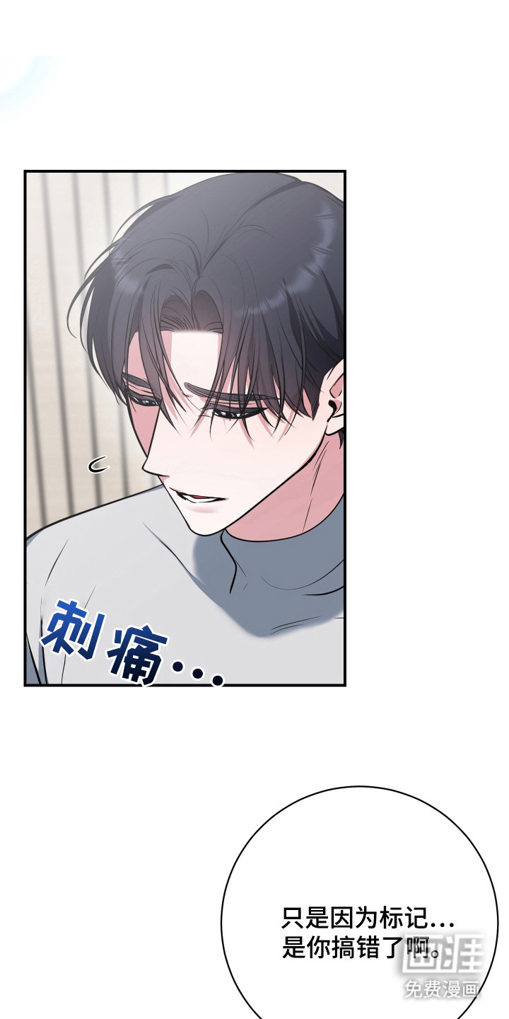 第22章:真实想法(完结)