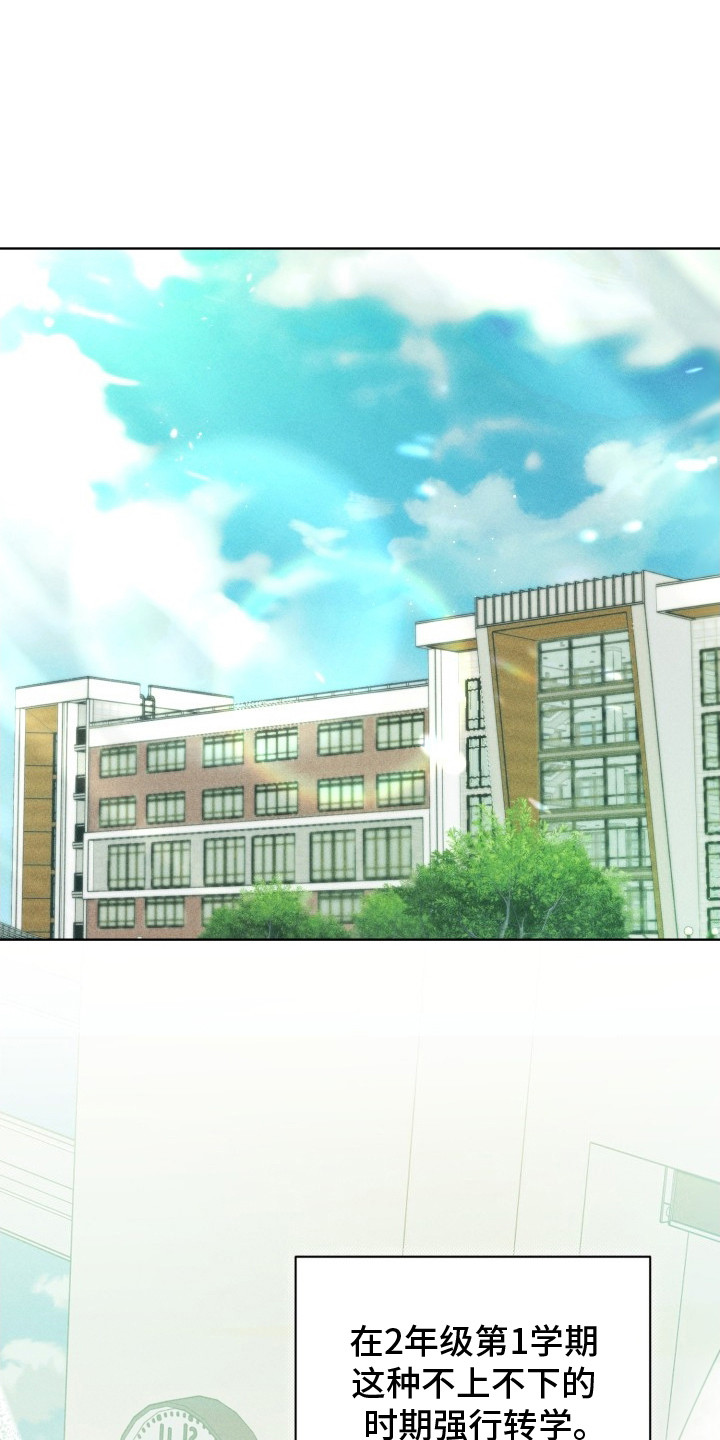 第4话：第4章：正常人预览分镜
