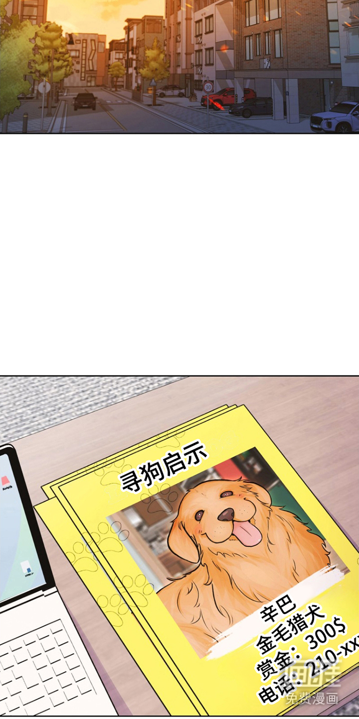 第7话：第7章：寻狗启示预览分镜
