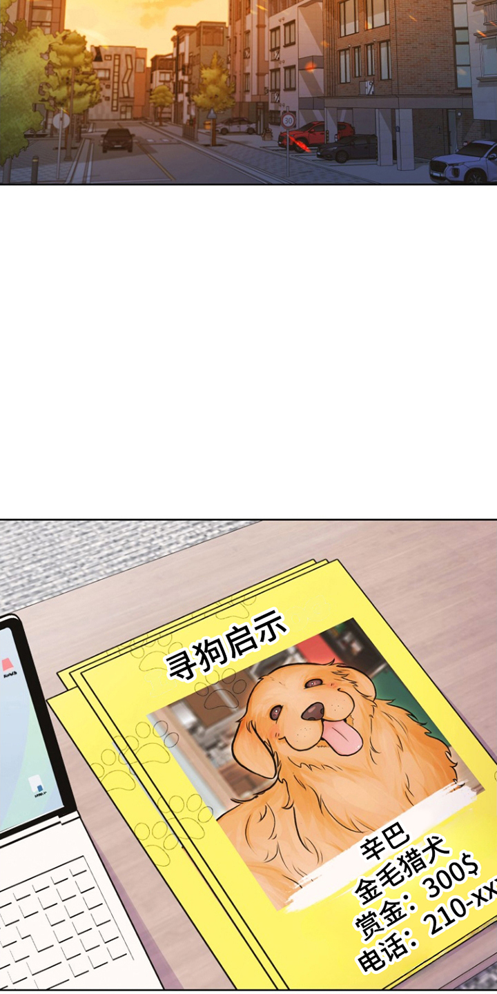 第7话：第7章：寻狗启示预览分镜