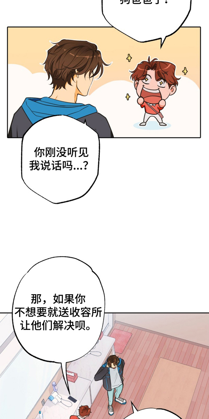 第11话：第11章：担心预览分镜