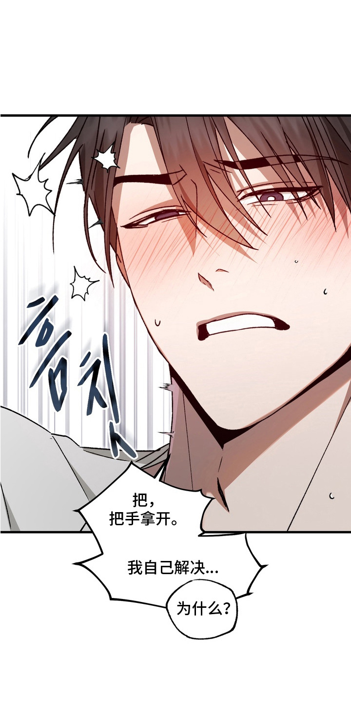 第4话：第4章：很幸福预览分镜