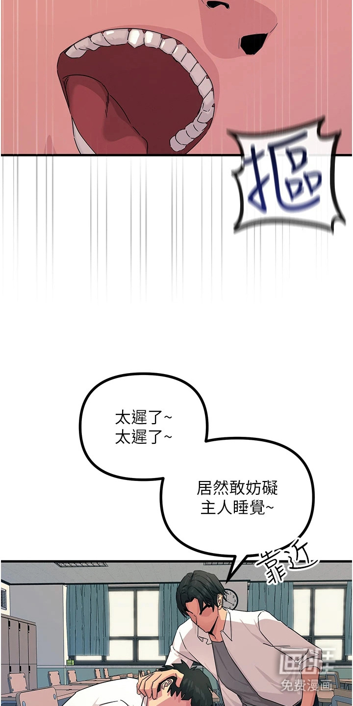 第11话：第11章：慢慢调查预览分镜