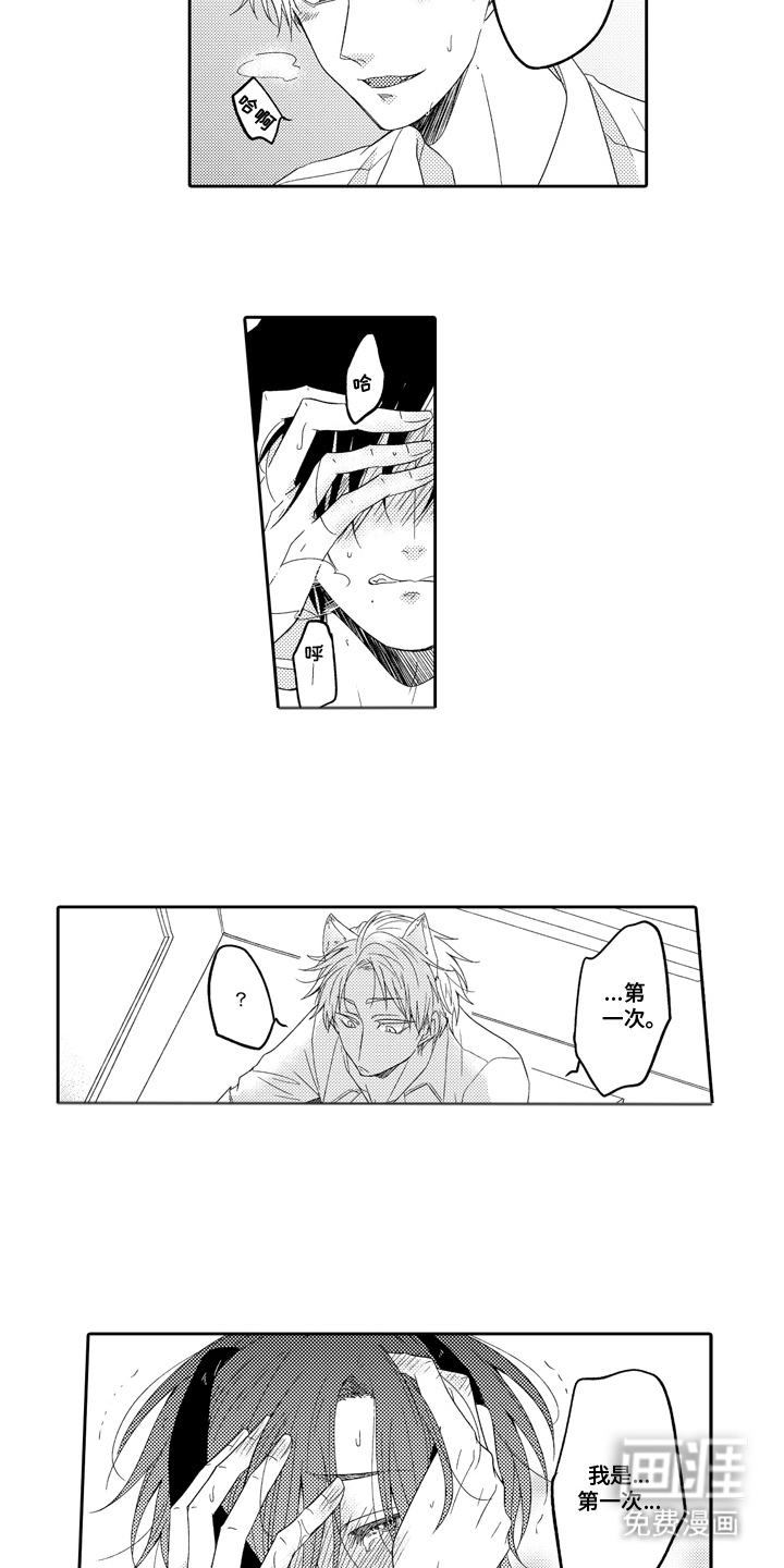 第4话：第4章：补偿预览分镜